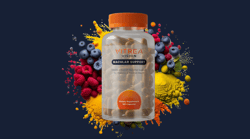 Vitrea Vision