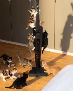 Vorwerk