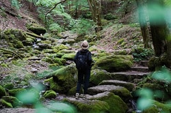 Wabunka
