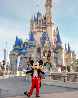 Walt Disney World