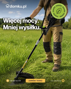 wDomku