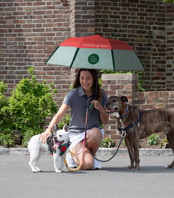 Weatherman Umbrella