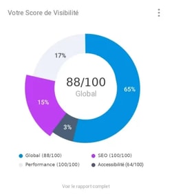 WebAuditFlash