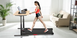 WELLFIT Treadmill