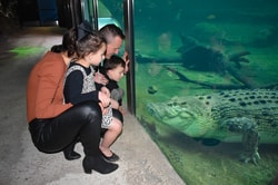 WILD LIFE Sydney Zoo