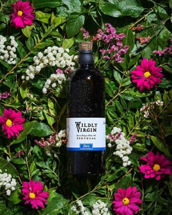 Wildly Virgin