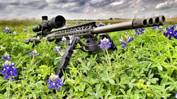 WMD Guns