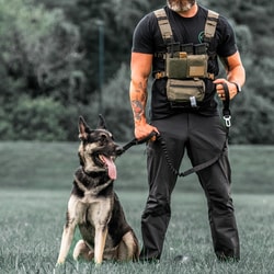 Wolf Tactical