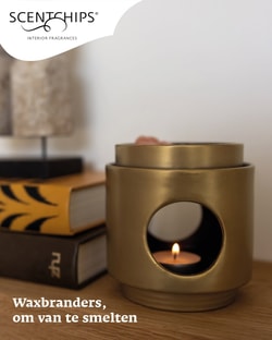 World of Scentchips
