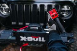 X-BULL