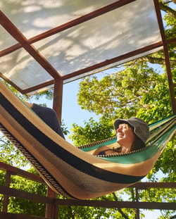 Yellow Leaf Hammocks