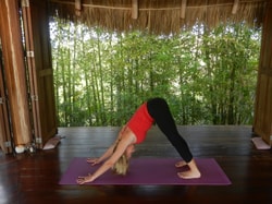 Yoga Download
