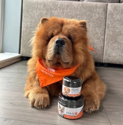 Your Pet Nutrition