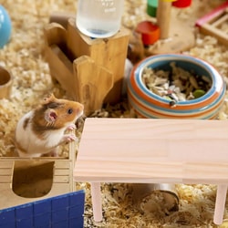 Zooplus