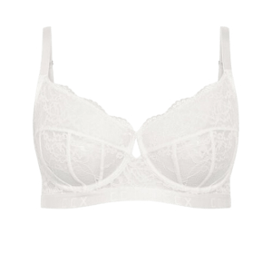City Chic Signature Underwire Bra