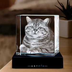 ArtPix 3D