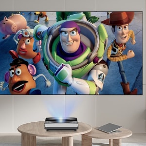 CASIRIS Projector