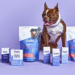 Ellevet Sciences