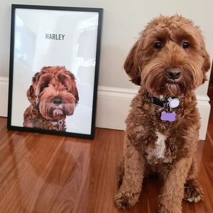 Guilty Paws