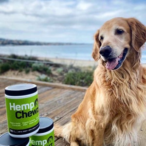Hemp Chewz