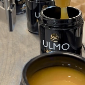 Ulmo Honey