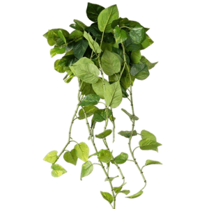 Afloral Natural Touch Pothos Artificial Plant - 48"