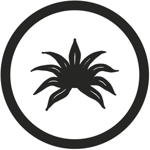AGAVE Denim