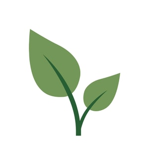 Allnatura