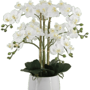 Aplanta K&uuml;nstliche Orchidee Dan