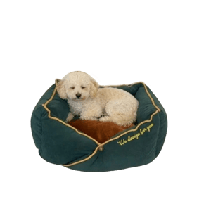 Pets Villa ARKIKA Design Green Pet Bed