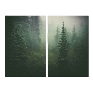 Art Bloom Hurricane Ridge