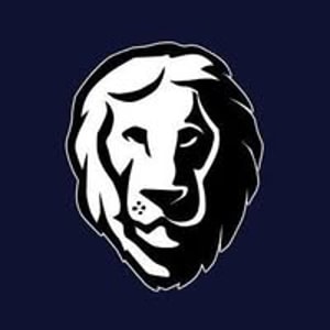 Aslan Mattress