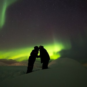Troms&oslash; Wildlife Cruise & Northern Lights