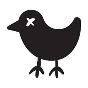 Bad Birdie