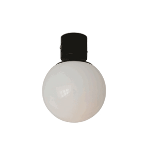BeauBelle Lunette 1-Light Ceiling Light