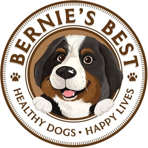 Bernie's Best