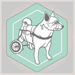 Best Friend Mobility