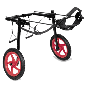 Best Friend Mobility Pro Rear Support Wheelchair