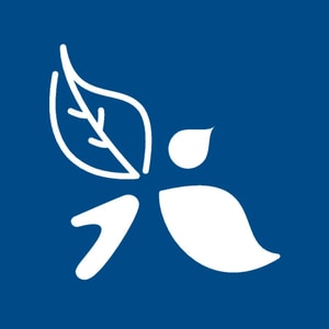 Bird & Blend Tea Co.