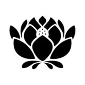 Bloom Magic