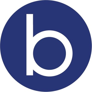 Bogg Bag