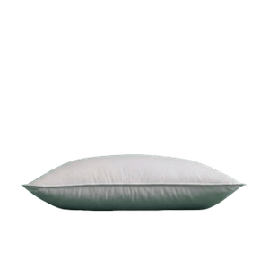 Boring Mattress Down Alternative Pillow