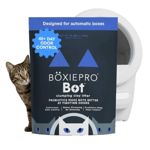Boxie Cat BoxiePro Bot