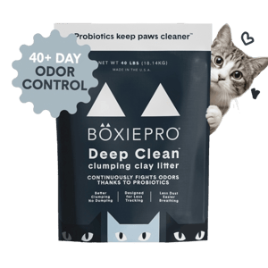 Boxie Cat BoxiePro Deep Clean