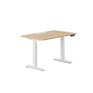 Branch Furniture Adjustable Executive Standing Desk