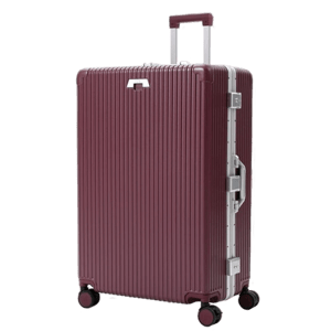 Check-In: All-In-One 28"
