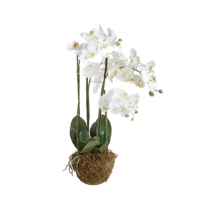 Cailini Coastal White Orchid Faux Drop-In