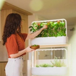 Click & Grow