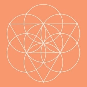Conscious Items