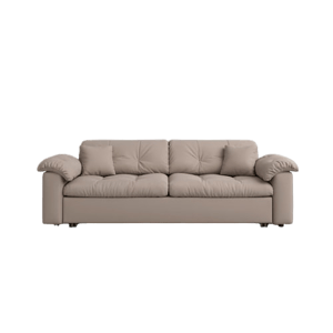 Cottonfy Multifunctional Sleeper Pull Out 2 Seater Sofa Bed